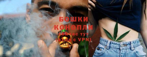 прущие грибы Арсеньев