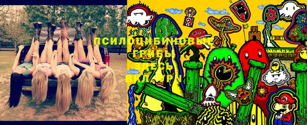 прущие грибы Арсеньев