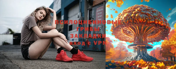 прущие грибы Арсеньев