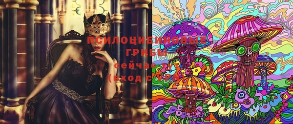 стафф Армянск