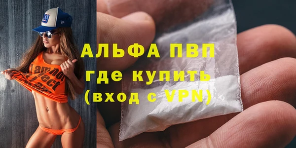 прущие грибы Арсеньев