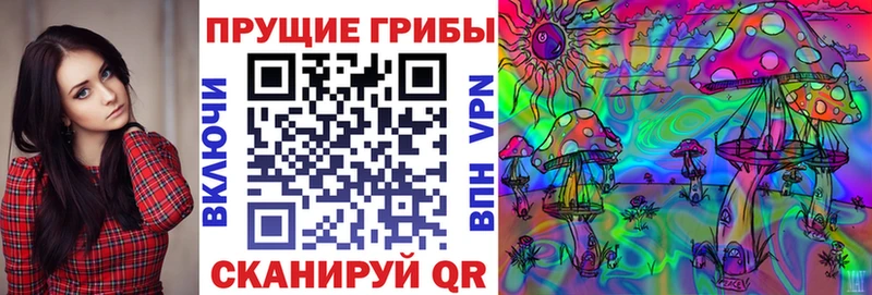 kraken сайт  Костерёво  Псилоцибиновые грибы MAGIC MUSHROOMS 